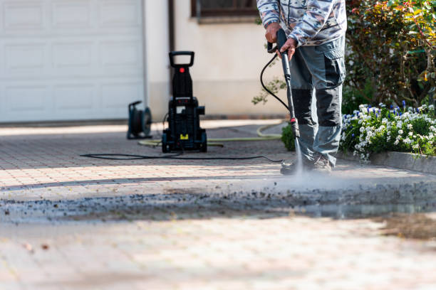 Best Best Pressure Washing Companies  in Buenaventura Lakes, FL