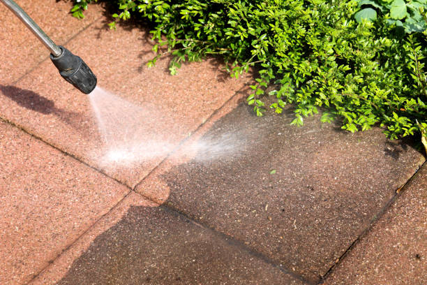 Best Local Pressure Washing Services  in Buenaventura Lakes, FL